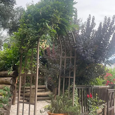 Ama Village - منتزه العطل *