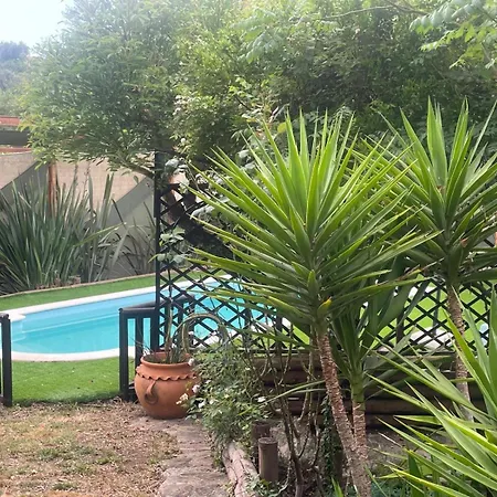 Ama Village - Abrantes