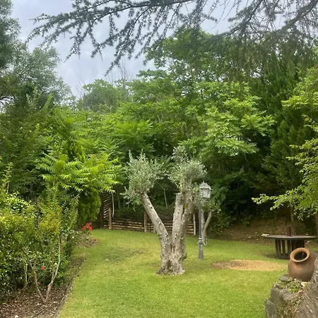 Ama Village - منتزه العطل
