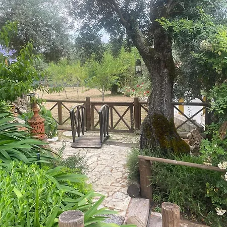 Ama Village - آبرانتس