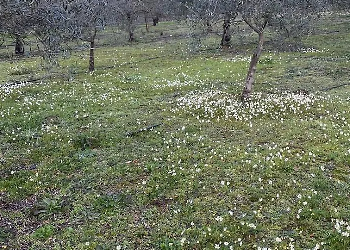 Ama Village - Kompleks wypoczynkowy