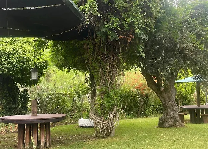 Vakantiepark Ama Village - Abrantes