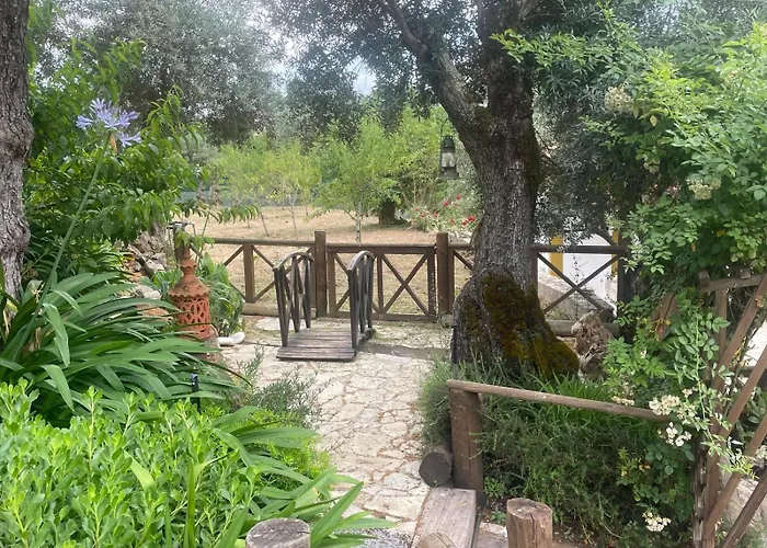 Ama Village - Abrantes