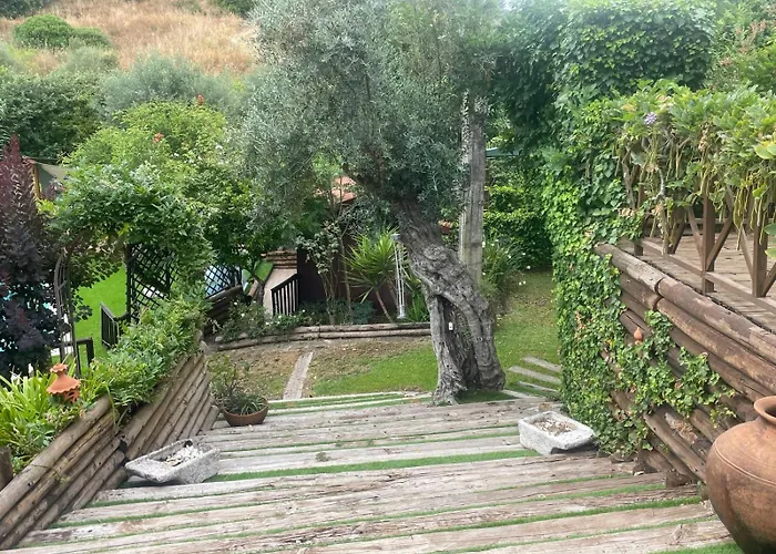 Kompleks wypoczynkowy Ama Village -